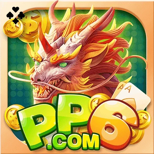 pp6 Logo